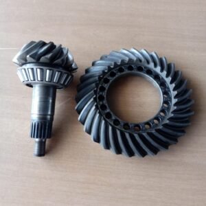 COROA E PINHAO Z31 Z14 DANA