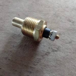 BULBO TEMPERATURA AGUA