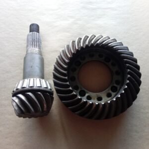 COROA E PINHAO Z13 Z34