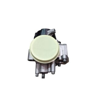 CONJUNTO DO CORPO DO ACELERADOR (MARCA D46F-1) QUADRICICLO VENTURA M550L/M570L (USADO)