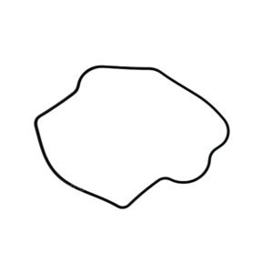 ANEL DE VEDACAO DA TAMPA DO CABECOTE QUADRICICLO FARMER 300 FUN MOTORS